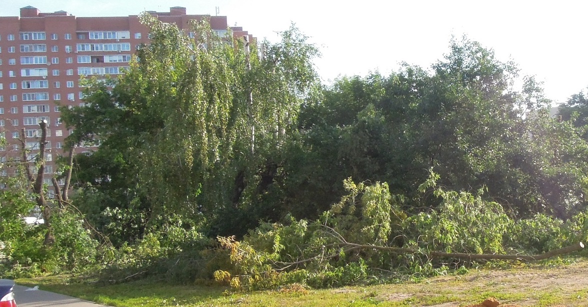вырубка_моэск_09072014