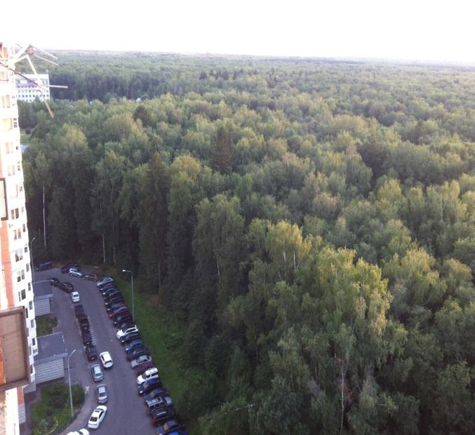 троицкийлес1
