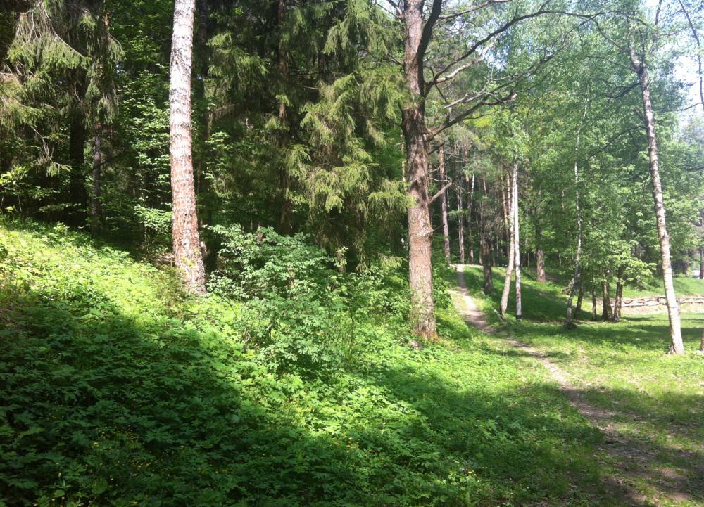 тропки
