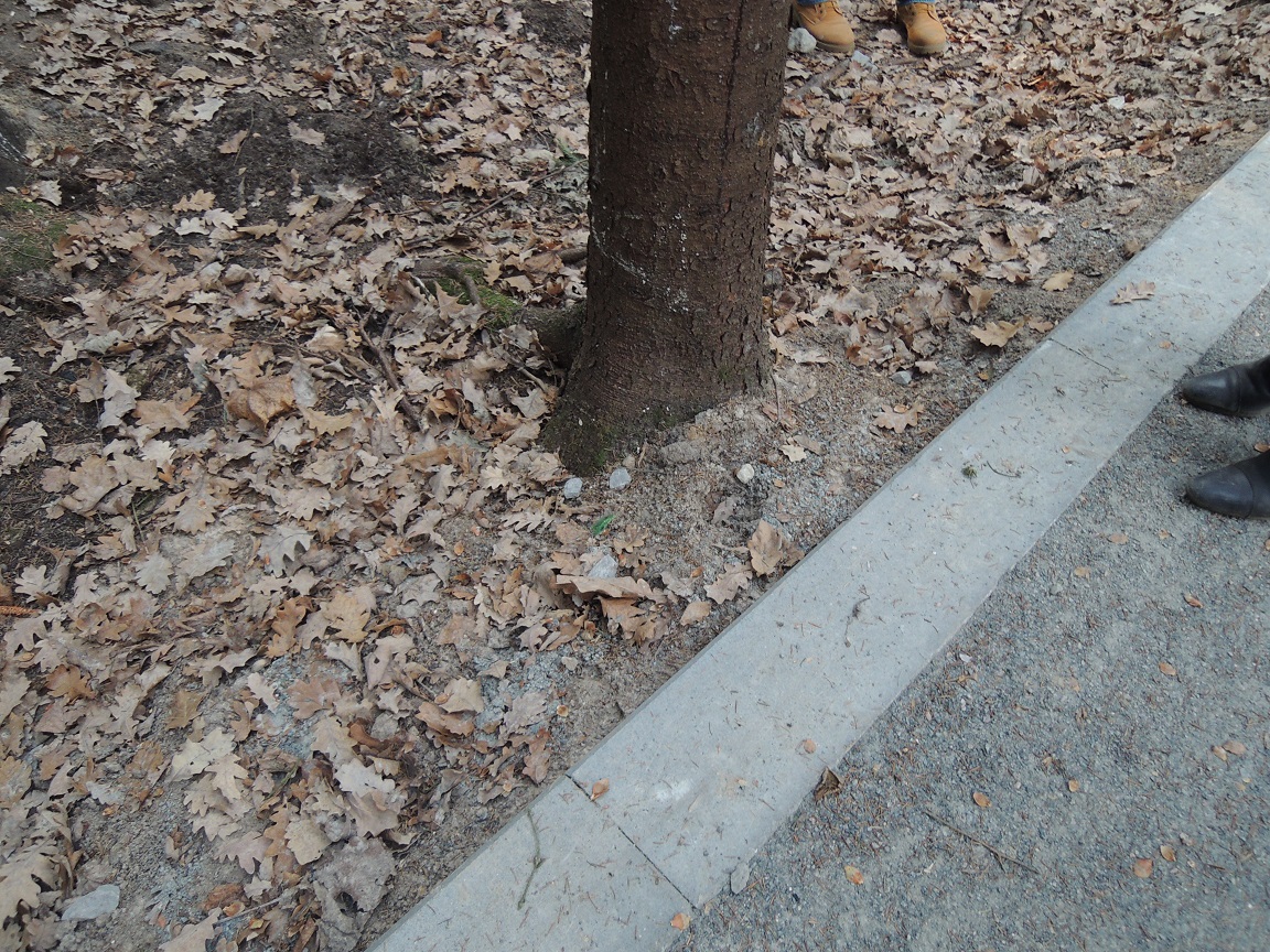 DSCN0090