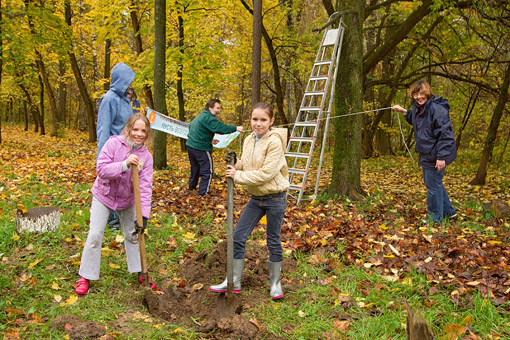 IMGP5472raw_psh_q2