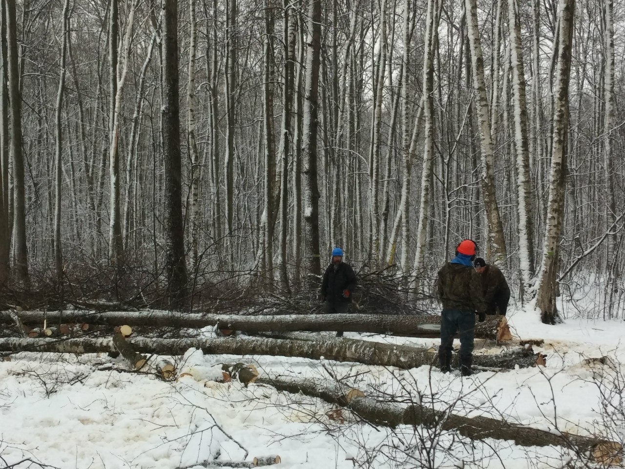 lesoruby