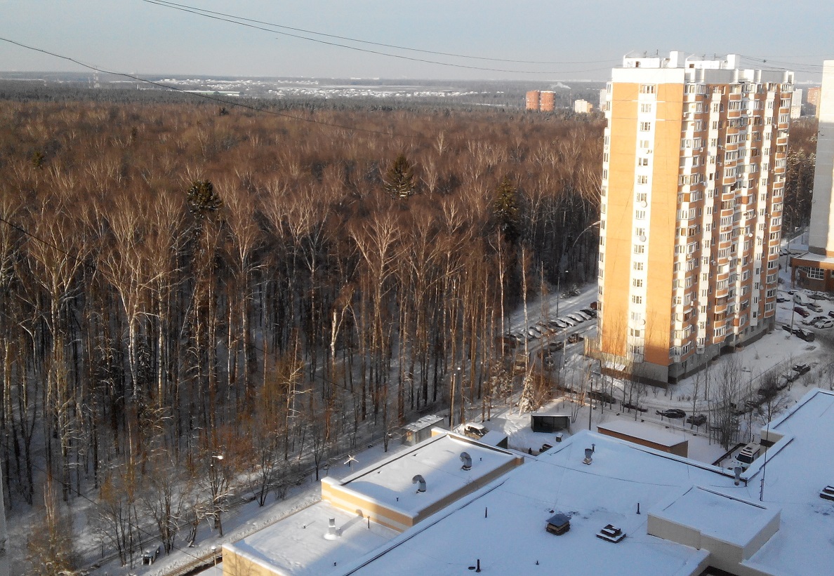 троицклес