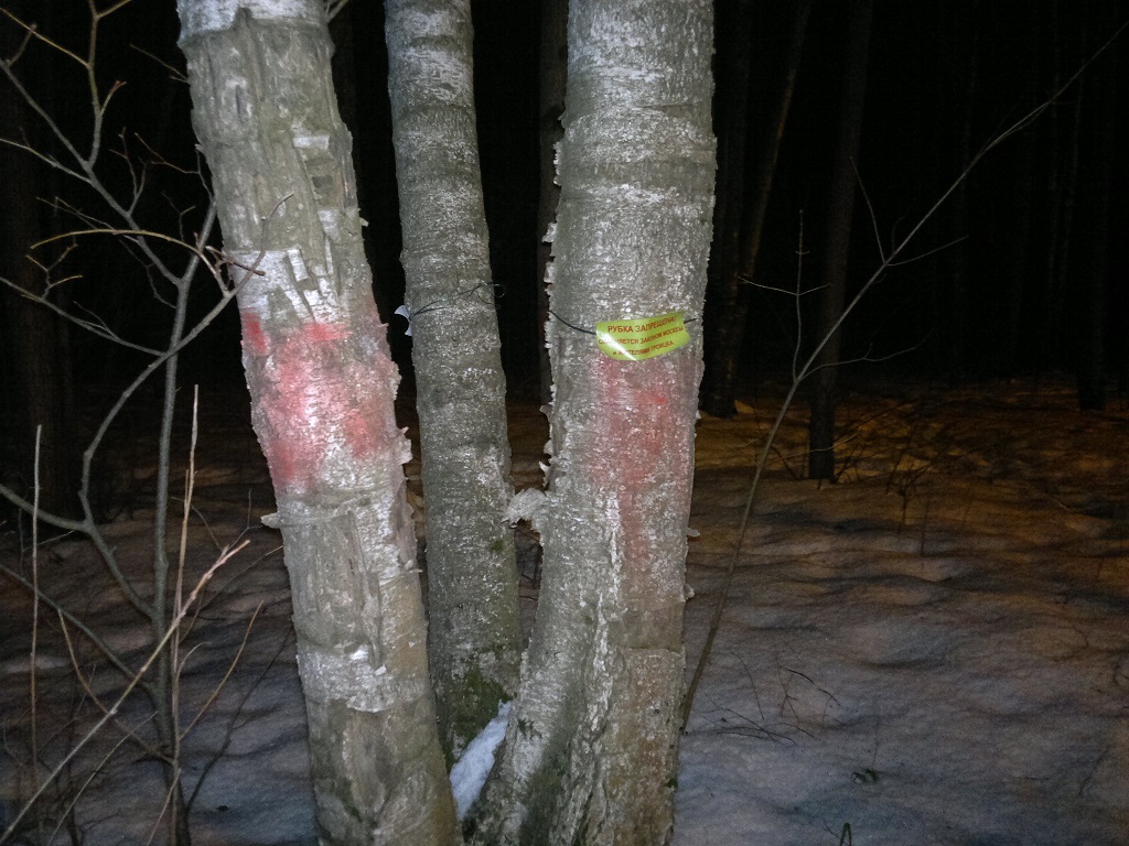 009