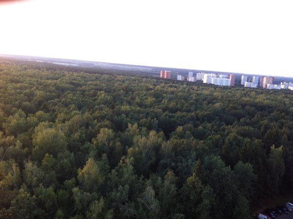 панорама_троицкого_леса