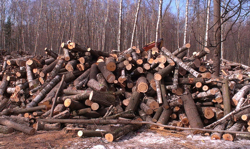 полешки
