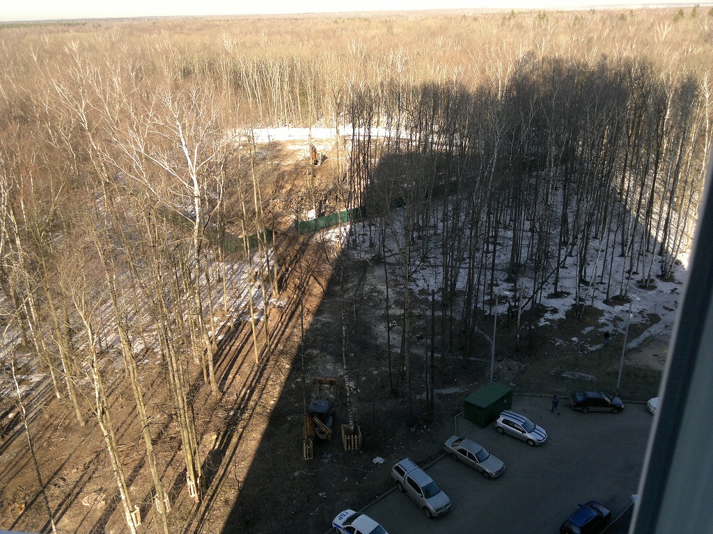 вырубили