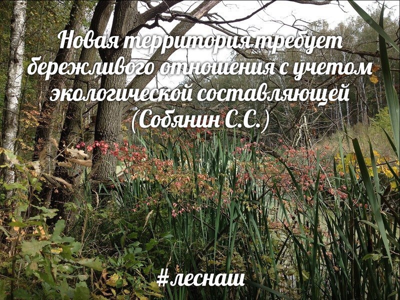 Собянин3