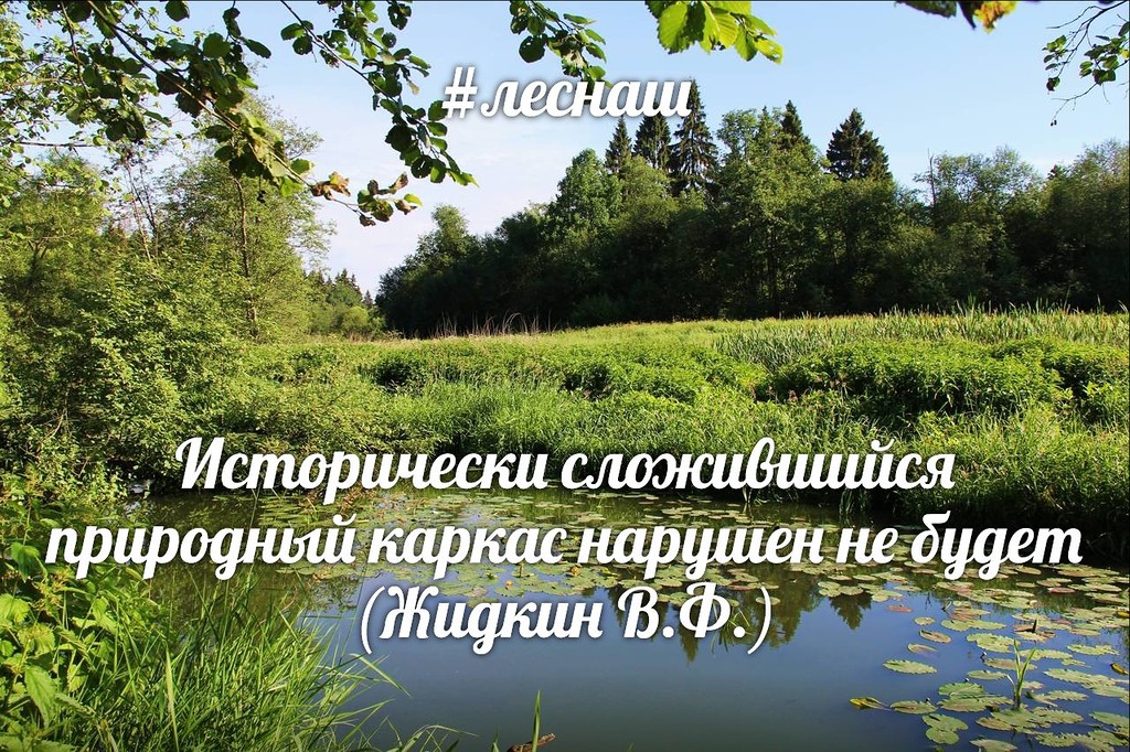 Жидкин2