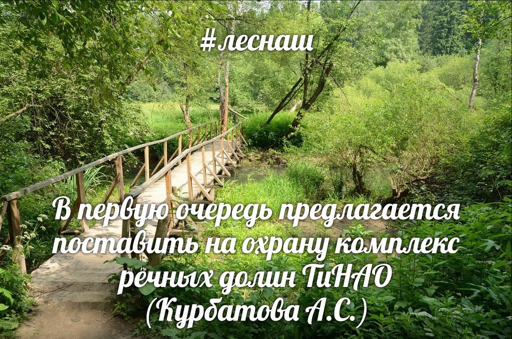 Курбатова