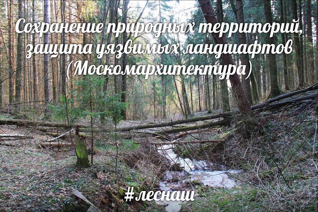 Москомархитектура