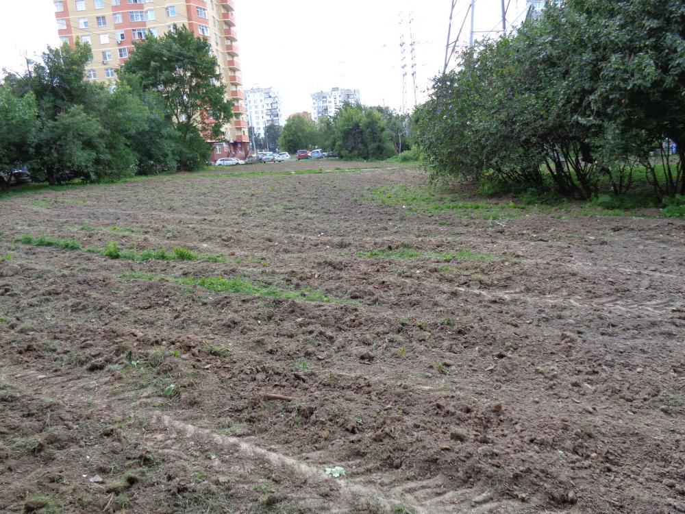 (без названия)