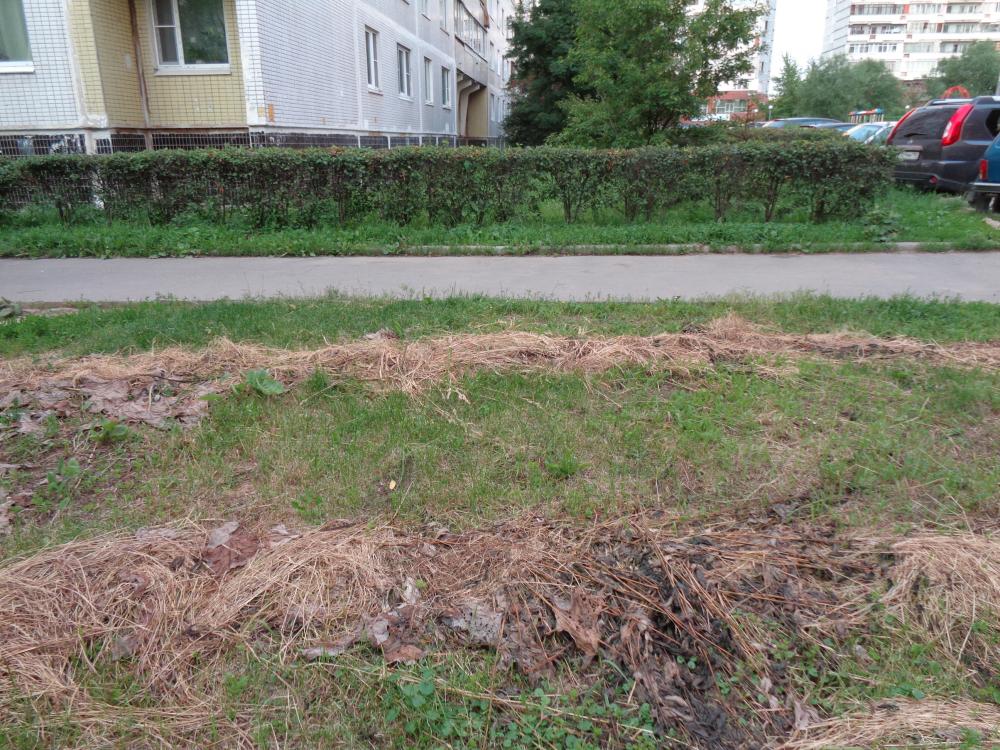 8.JPG