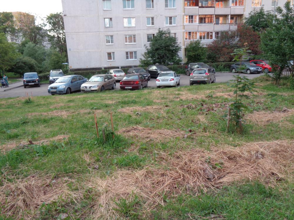 10.JPG