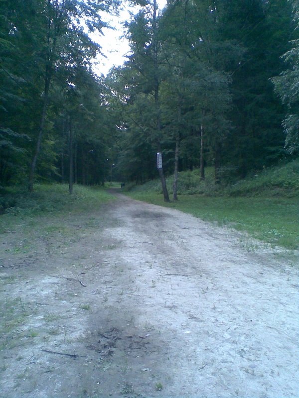 лыжная база