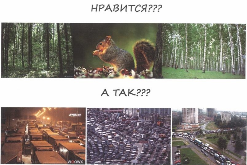 транзитная_трасса_через_троицкий_лес