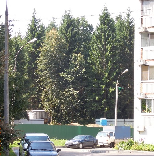 DSCN3160
