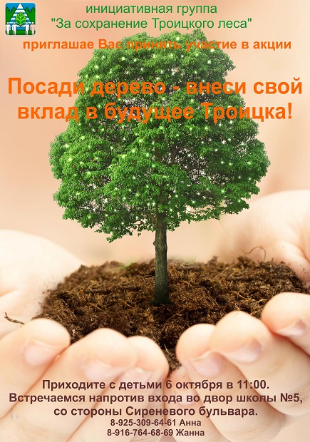 дерево ум