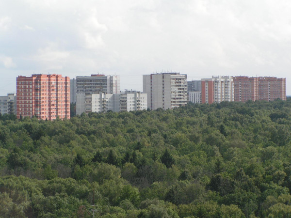 Троицкийлес