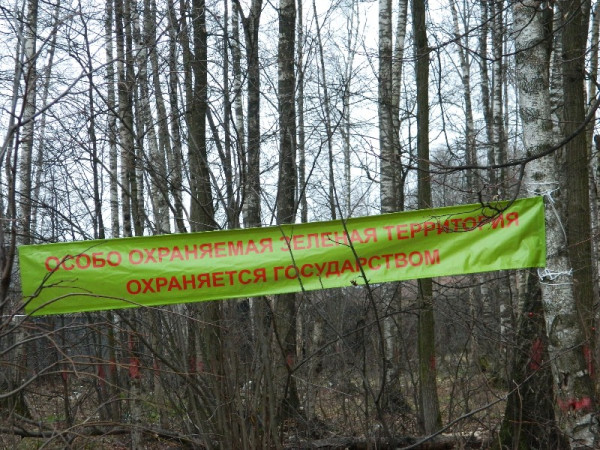 баннер