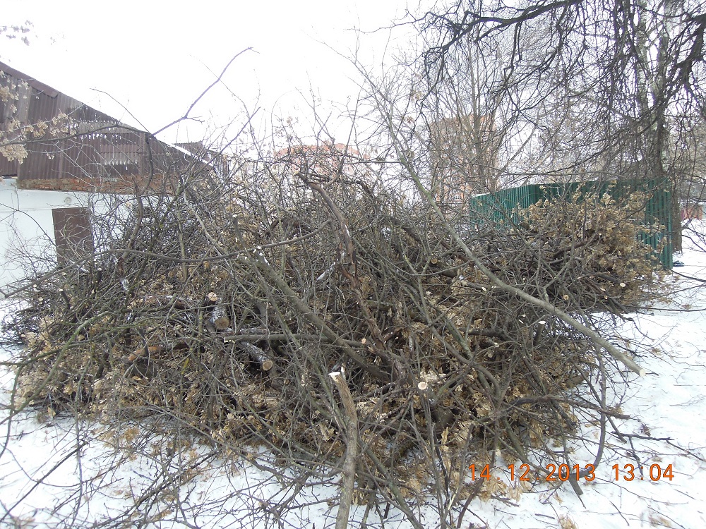Сквер за Березкой декабрь-1 (1)