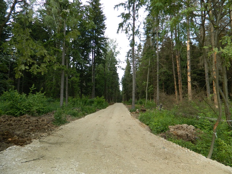 DSCN8220
