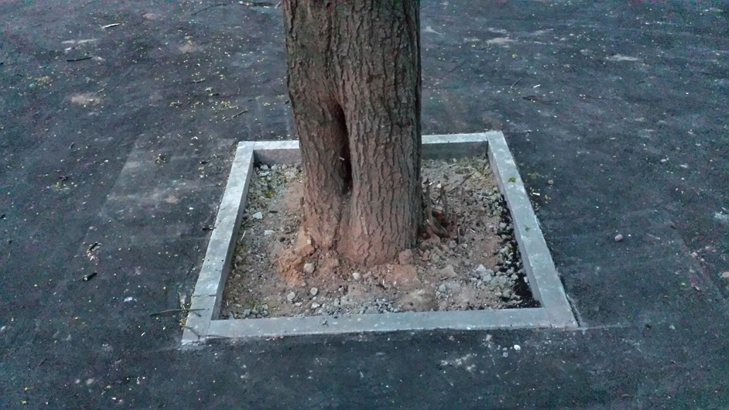 20140503_213228